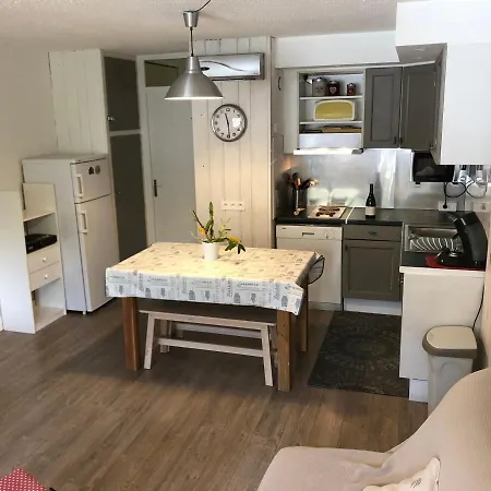 Appartement Lumineux Avec Parking à 250m Des Pistes - Fr-1-165a-134